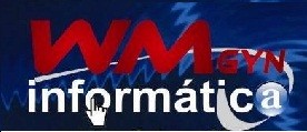 Wm-Gyn Informática