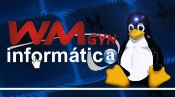 WM-GYN INFORMATICA